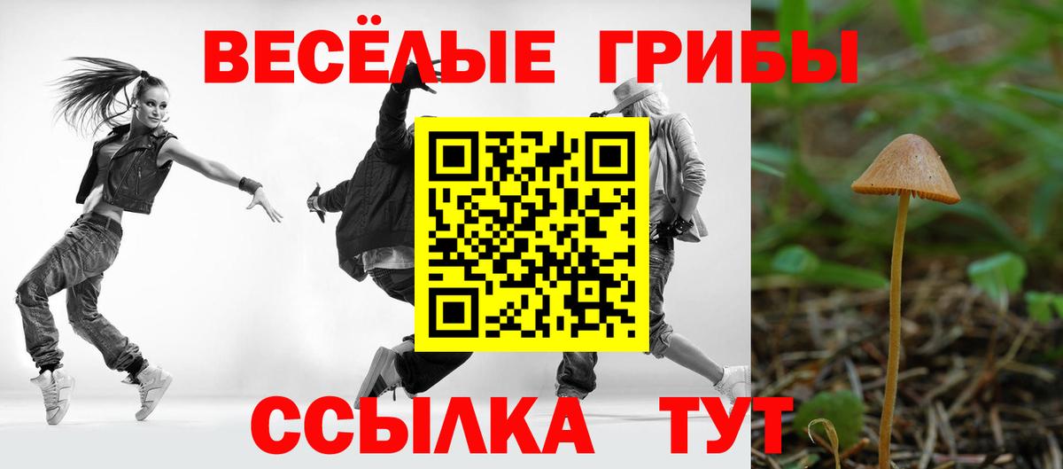 Узловая  Галлюциногенные грибы ЛСД  сколько стоит  Вход с VPN 