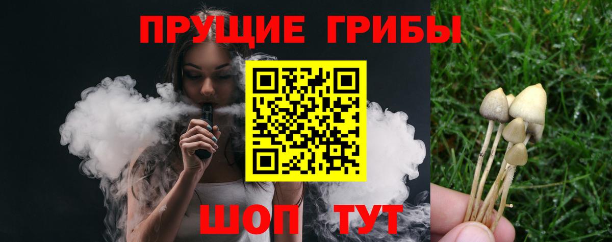 Галлюциногенные грибы мухоморы Узловая